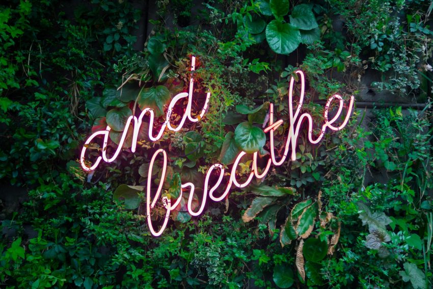 Alone Together: Online Meditations
