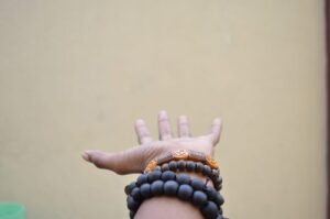 Five Essentials for a Successful Meditation