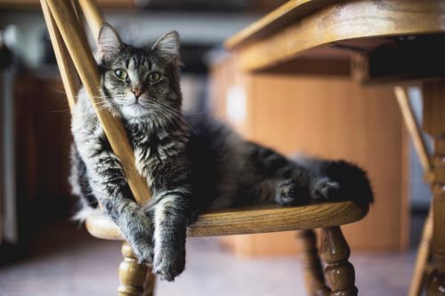 Advice for a New Meditator