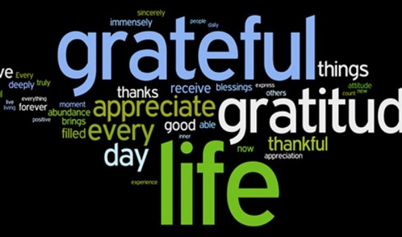 Cultivating the Gratitude Attitude