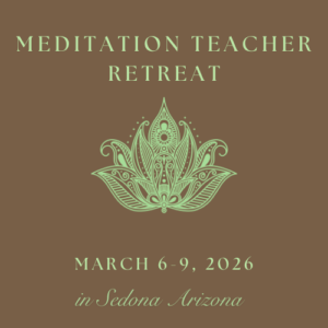 Meditation Teacher Retreat