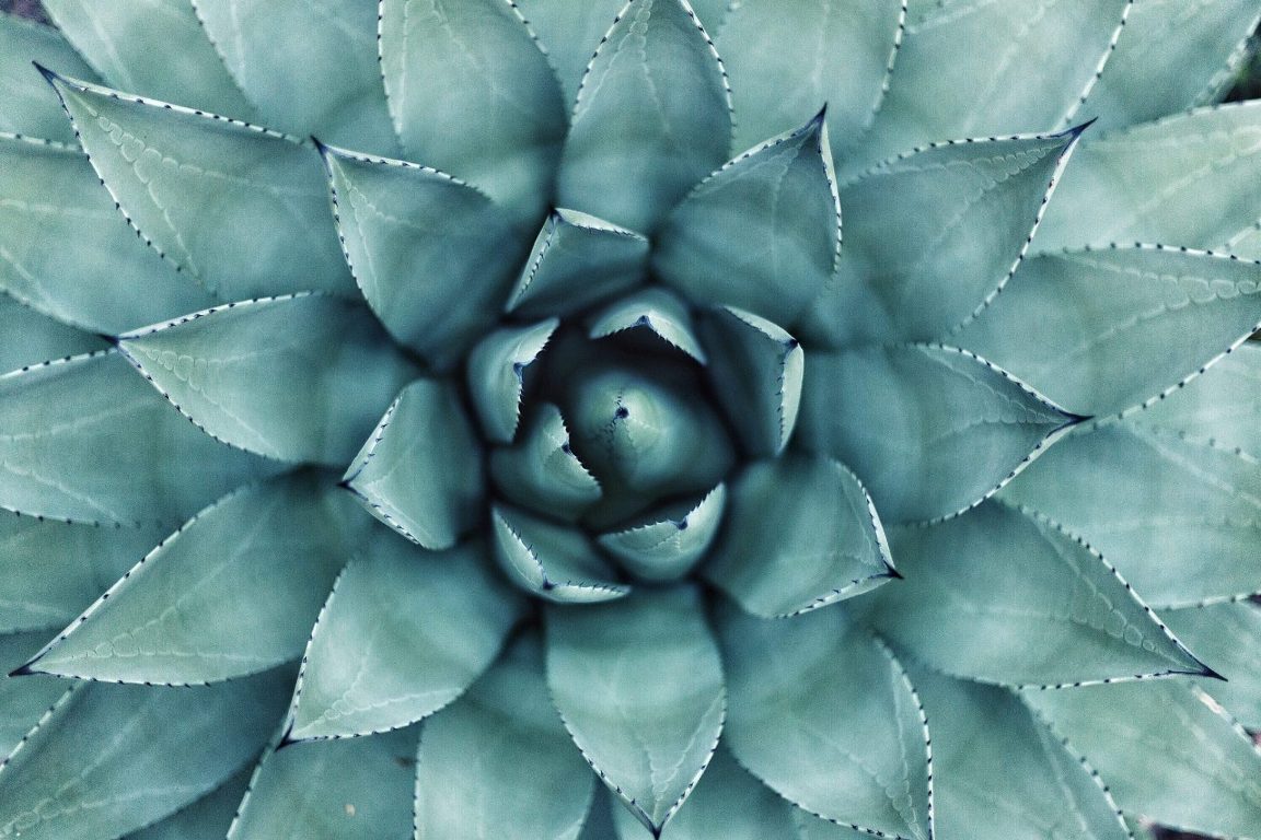 Want to Start Meditating Now?